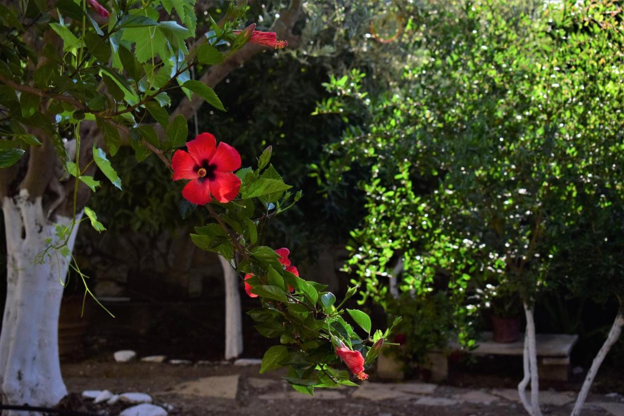 Villa Lena Sívas Esterno foto